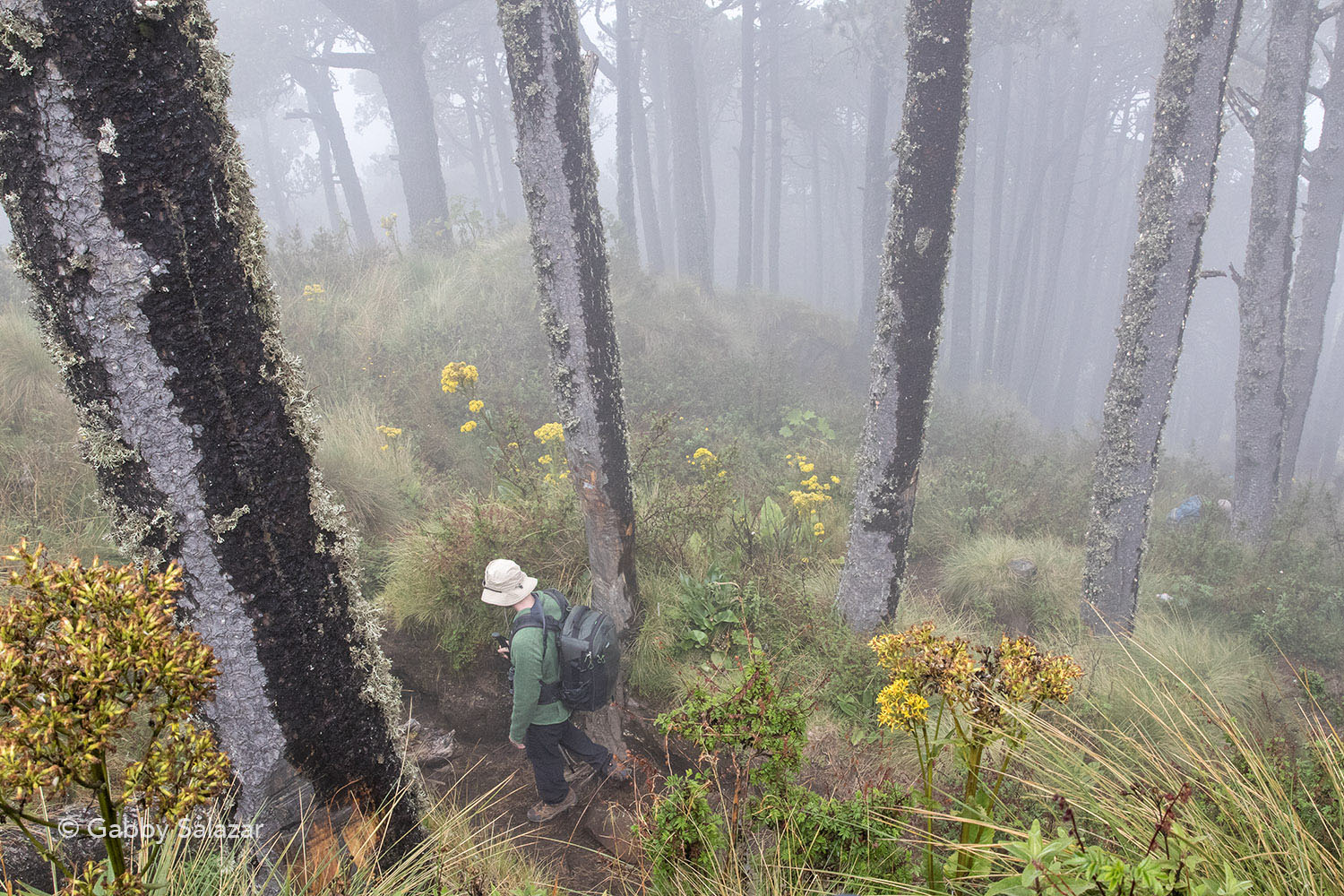 Volcan Santa Maria is a popular hiking and adventure destination for locals and tourists. Here a tourist hikes down from the summit toward Xela.